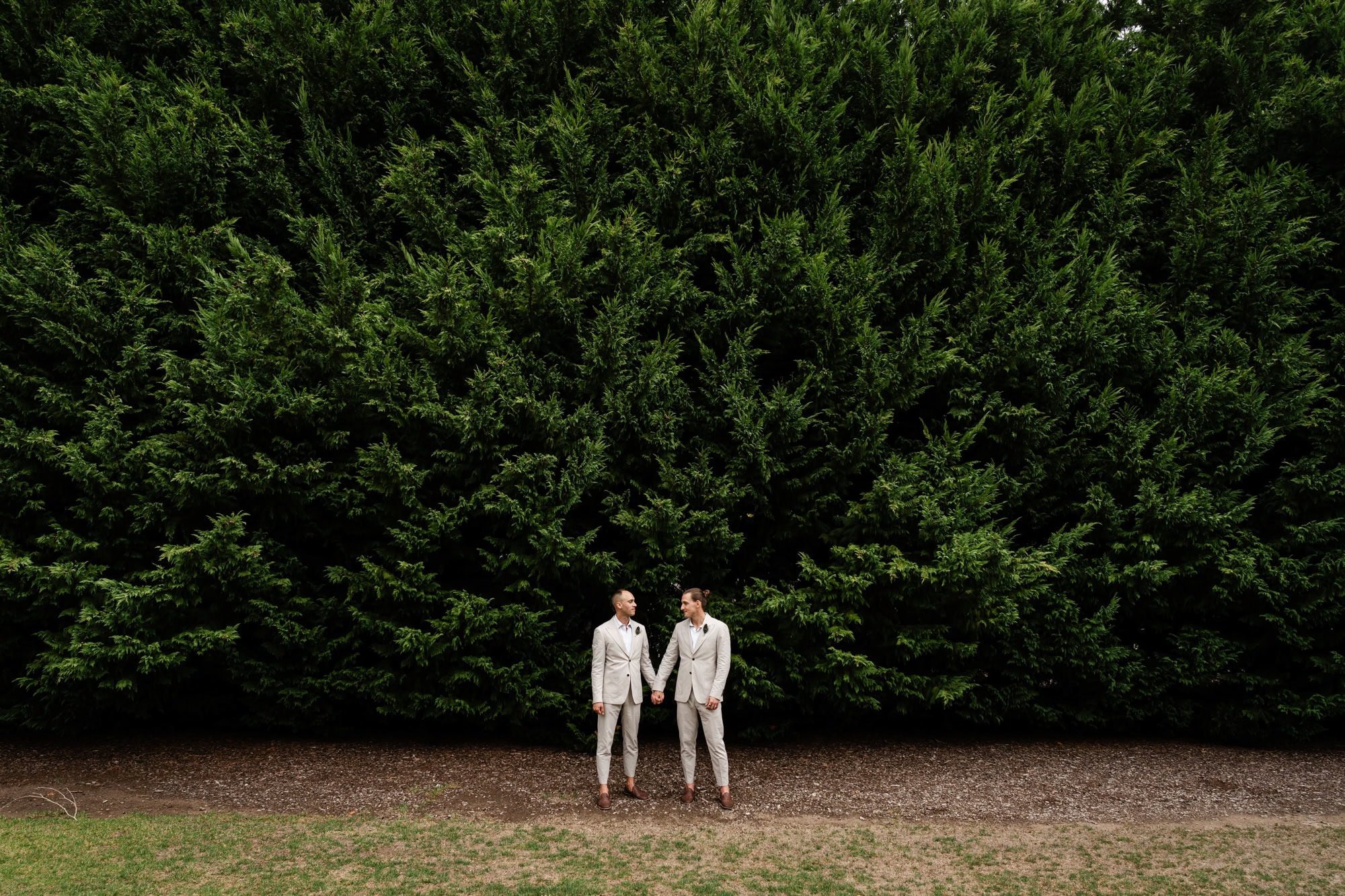 wedding photos Perth two grooms wearing colour suits holding hands in front of large green hedge