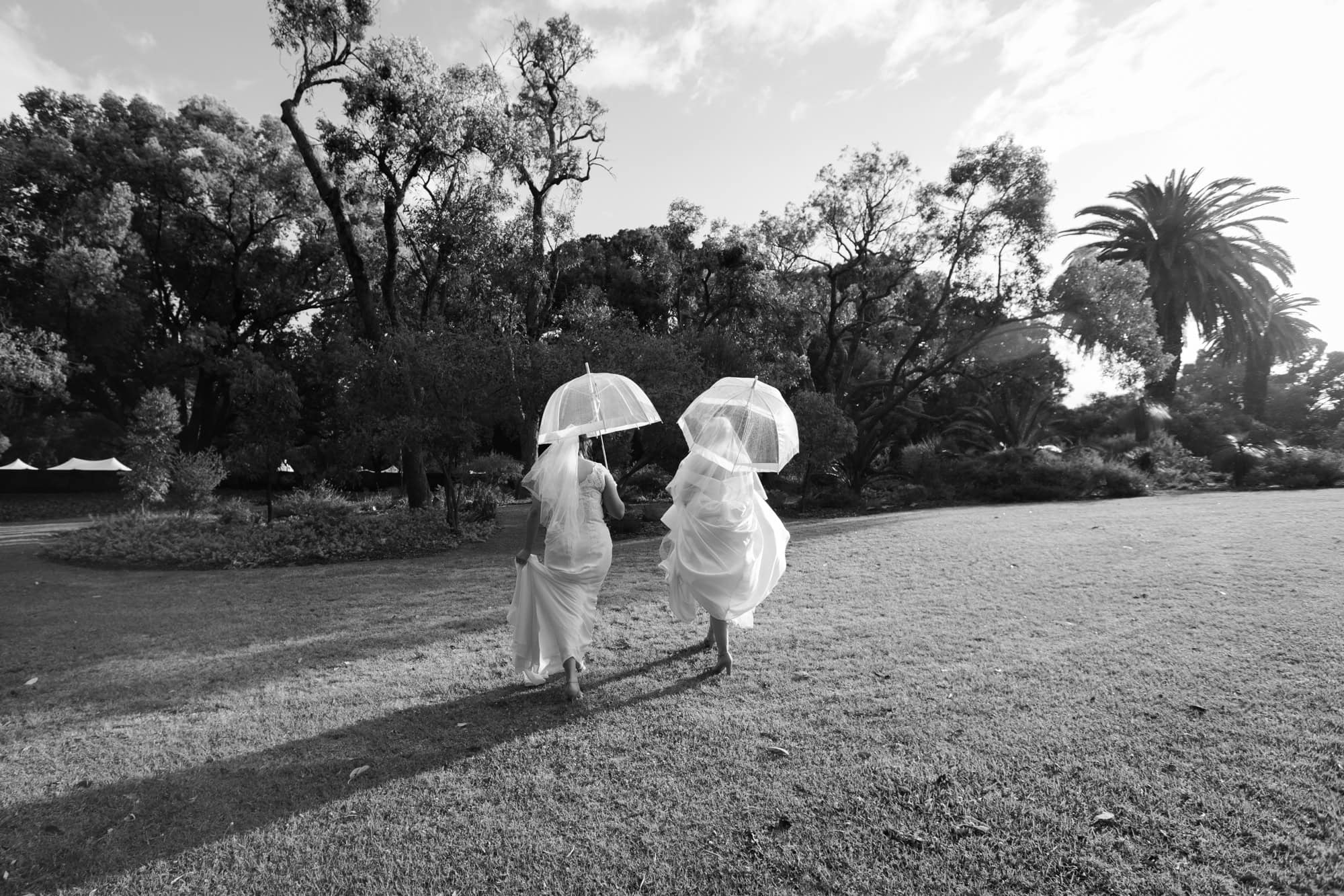 wedding photos Perth two brides wearing white dresses and holding umbrellas walking across grass